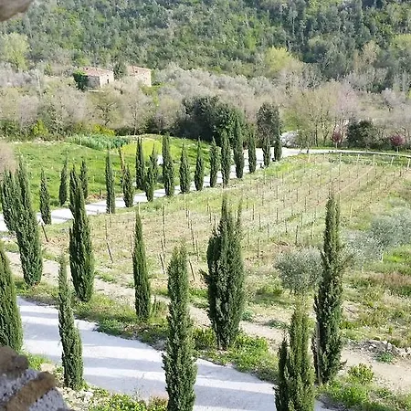 Feudi Enchestre Agropoli Ogliastro Cilento