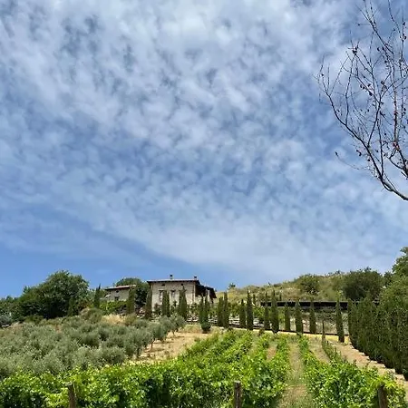 Bed & Breakfast Feudi Enchestre Agropoli Ogliastro Cilento