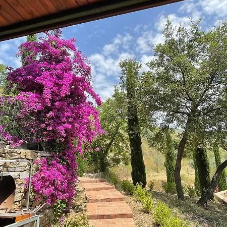 Feudi Enchestre Agropoli Bed & Breakfast Ogliastro Cilento