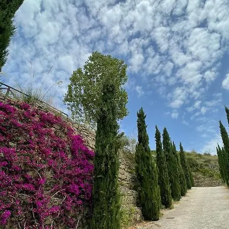 Bed & Breakfast Feudi Enchestre Agropoli Ogliastro Cilento