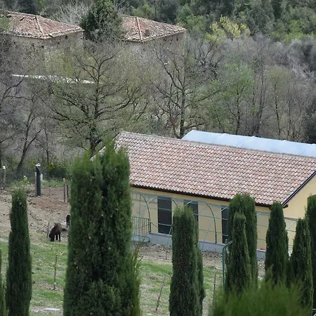 Feudi Enchestre Agropoli 오글리아스트로 실렌토